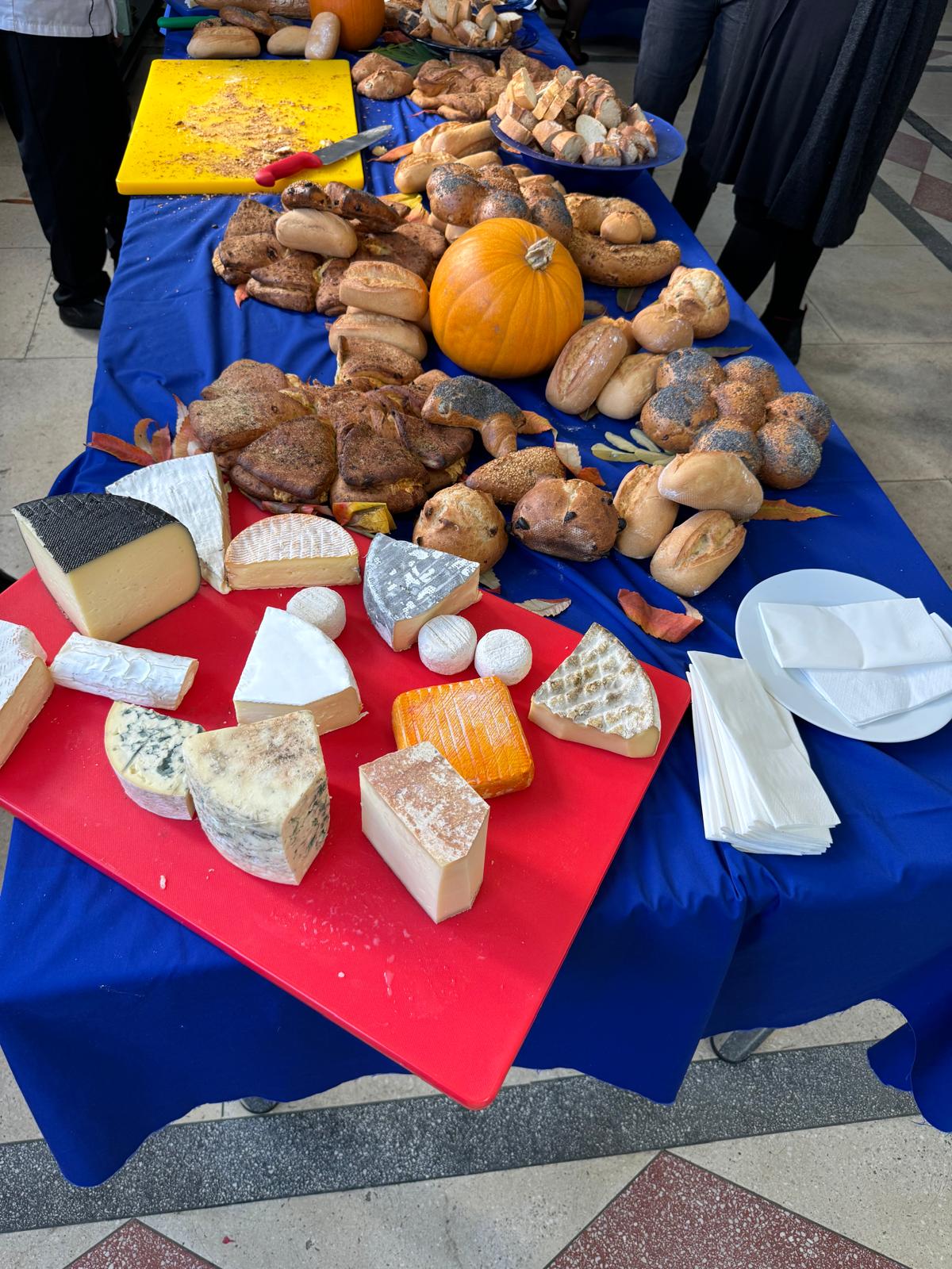 WhatsApp Image 2024 10 17 at 18.03.56